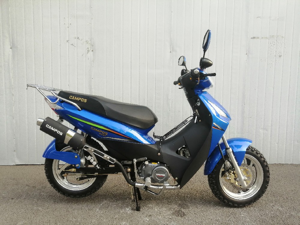 BIZ135