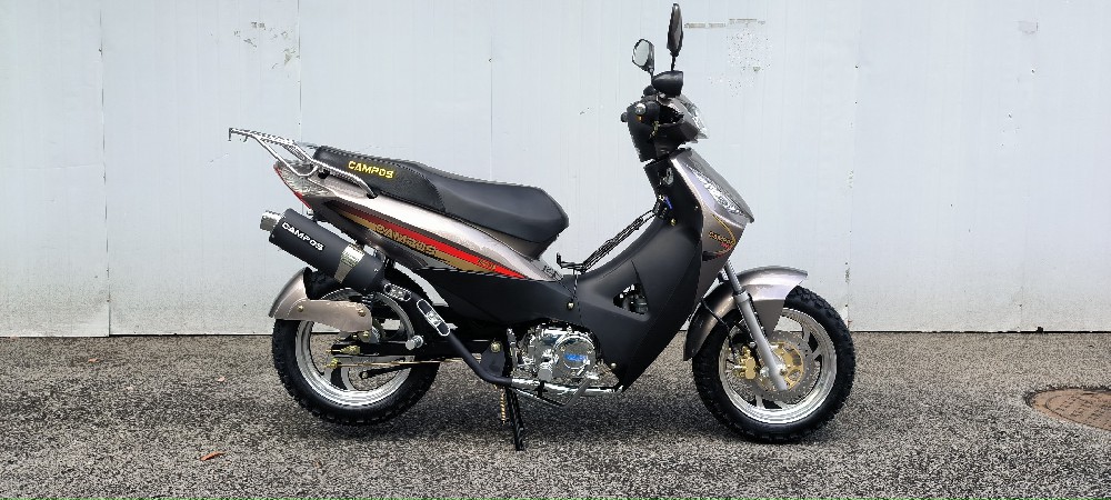 BIZ135 NEW